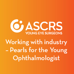 YES Webinar Industry